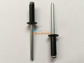 彩色拉釘定制 好用的彩色拉釘東莞固豐供應(yīng)